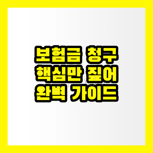 보험금 청구, 복잡No! 핵심만 짚어주는 완벽 가이드