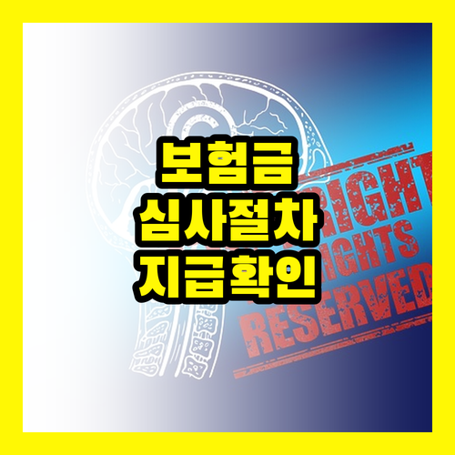 보험금 심사 절차와 지급 확인: 당신이 알아야 할 모든 것