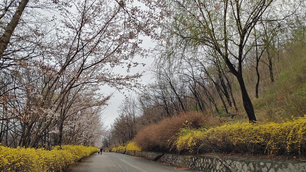 서울 용산구 거주자우선주차 신청 이미지